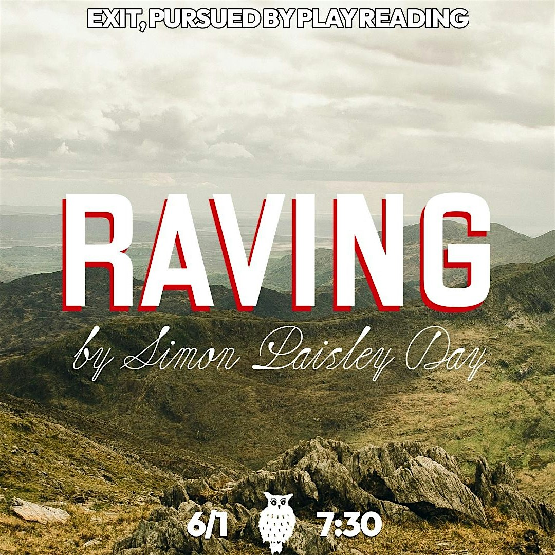 RAVING by Simon Paisley Day